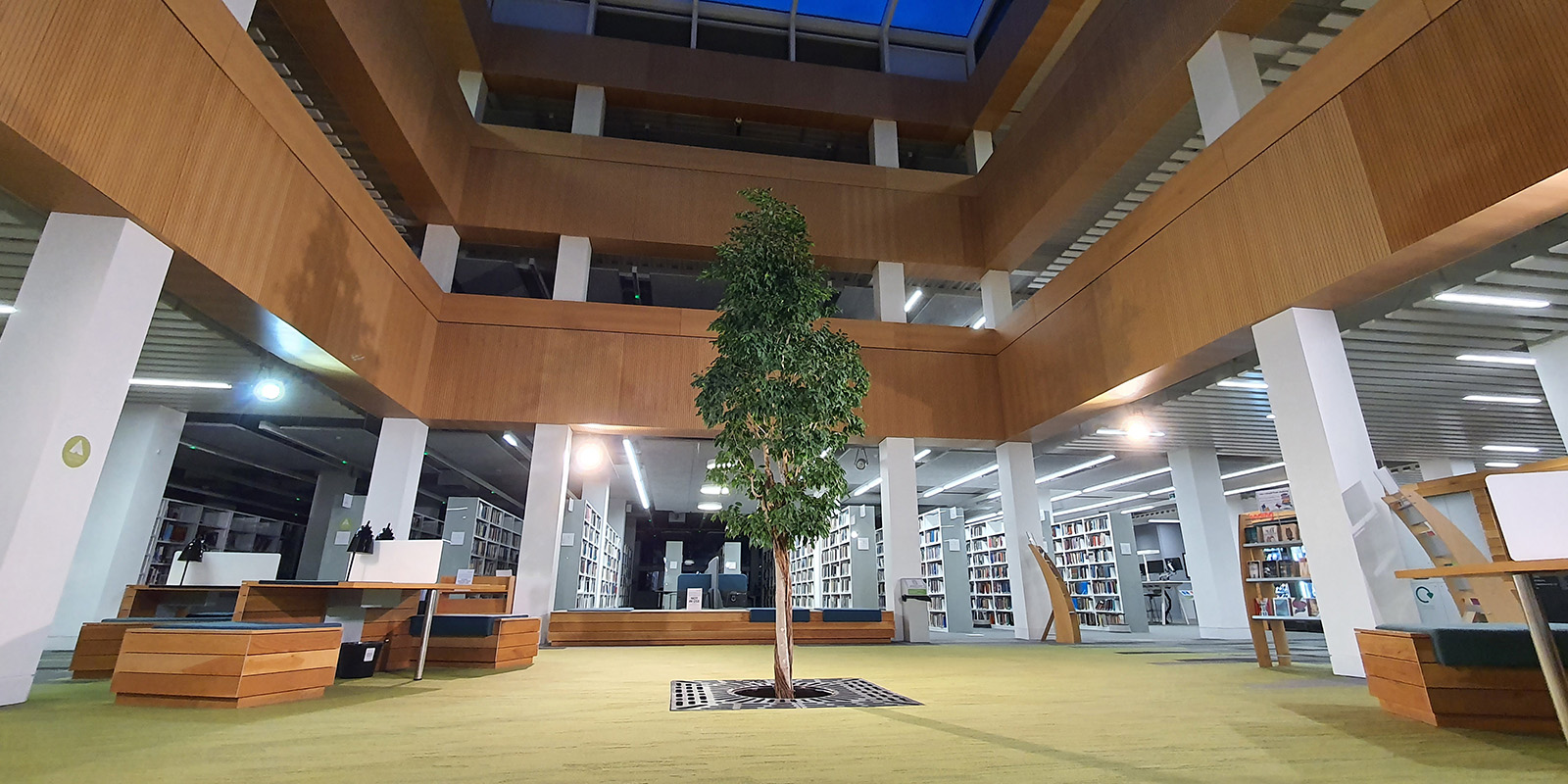 ϲʿ library foyer with the living tree in the centre.